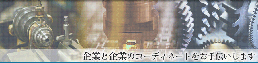 ダミーの画像